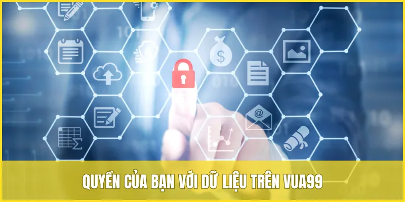 Người chơi có đầy đủ quyền đối với dữ liệu cá nhân tại chính sách bảo mật VUA99