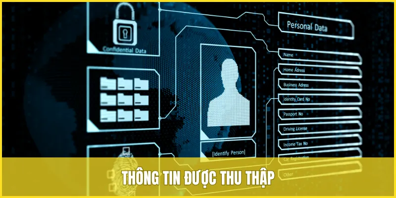 Thông tin người chơi được thu thập tại nhà cái VUA99